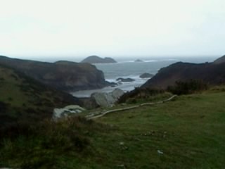 Out walking the coastal path from Solva to Newgale Sunday 2nd February